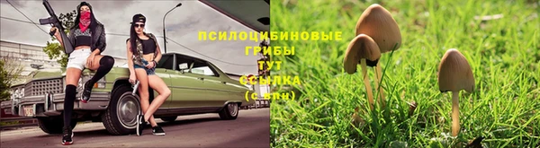 дмт Арсеньев