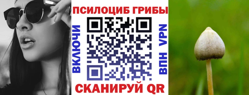 Псилоцибиновые грибы Cubensis купить Белая Калитва